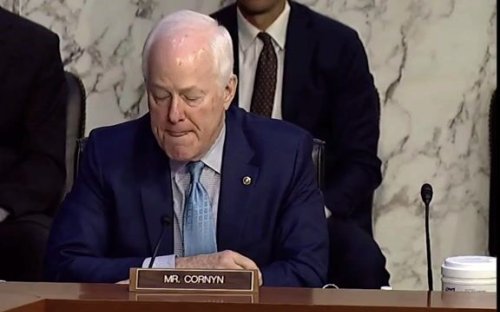 Cornyn: "I wonder about focus on the firearm as an inanimate object. An inanimate object won't cause harm to anyone."