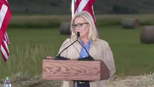 Rep. Liz Cheney (R-WY): "2 years ago, I won this primary with 73% of the vote. I could easily have done the same again."