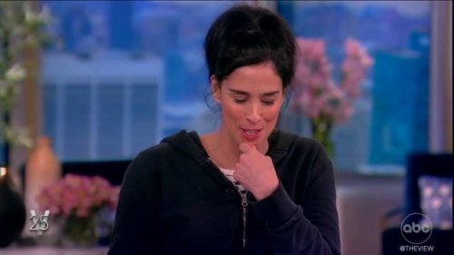 Comedian Sarah Silverman: "People have higher expectations of their comedians than their representatives ... very odd."