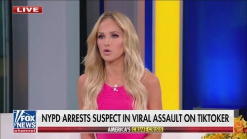 Fox’s Tomi Lahren thinks men in “red states” would prevent NYC women being randomly punched in the face on the streets.