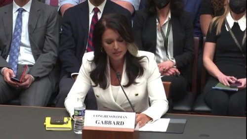 Fmr. Hawaii Rep. Tulsi Gabbard Testifies Before The House Judiciary ...