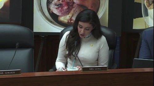 Rep. Anna Paulina Luna (R-FL) brings images that she says are fetuses from late-term abortions.