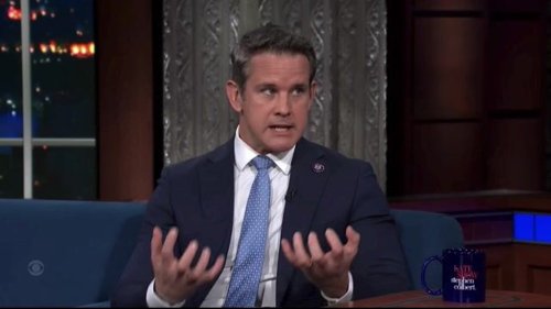 Rep. Adam Kinzinger (R-IL): “When you try a coup in the United States government you have to pay for that, period."