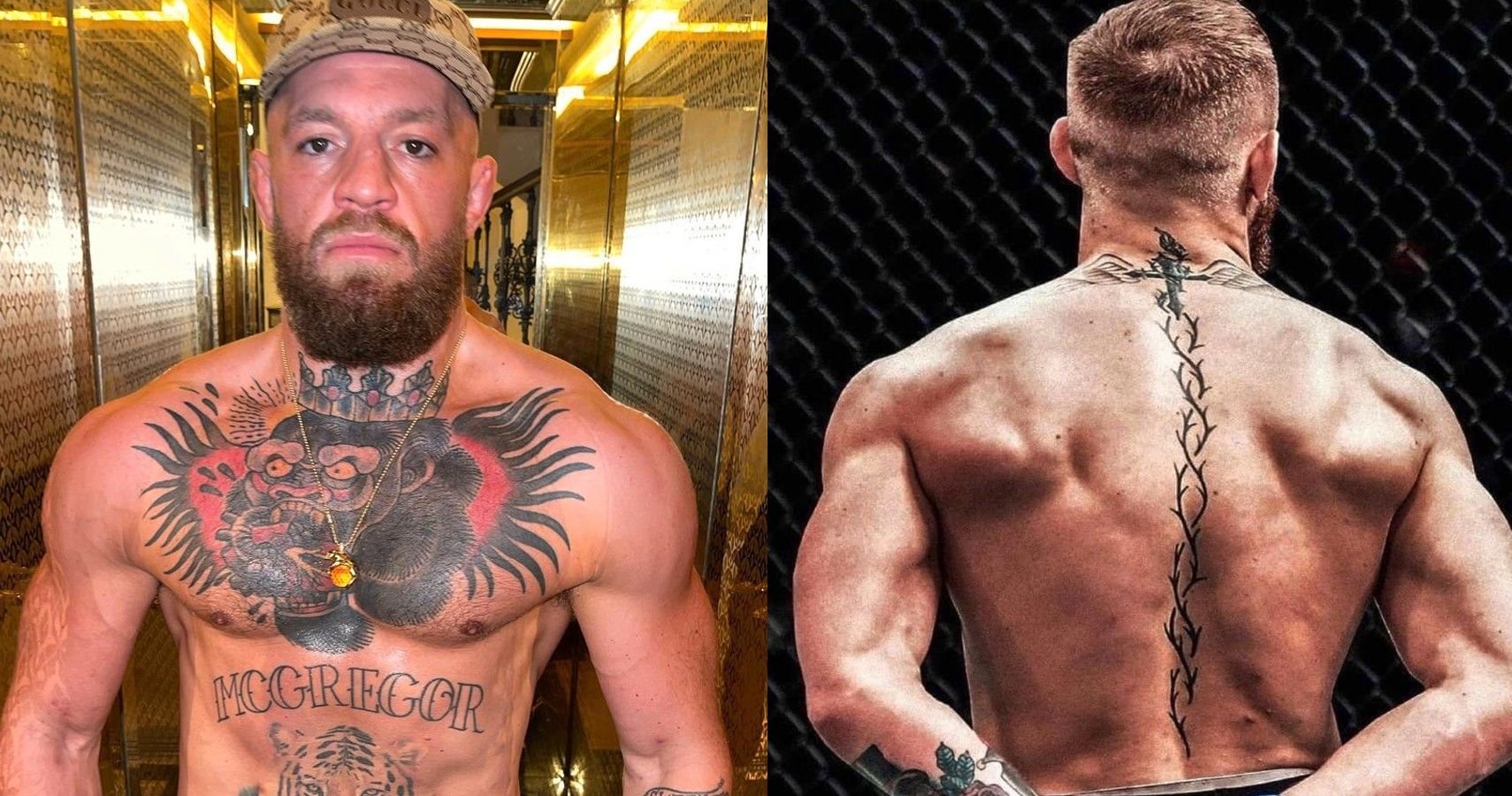 From A Plumber To A Sports Legend: The Incredible Story Of Conor McGregor