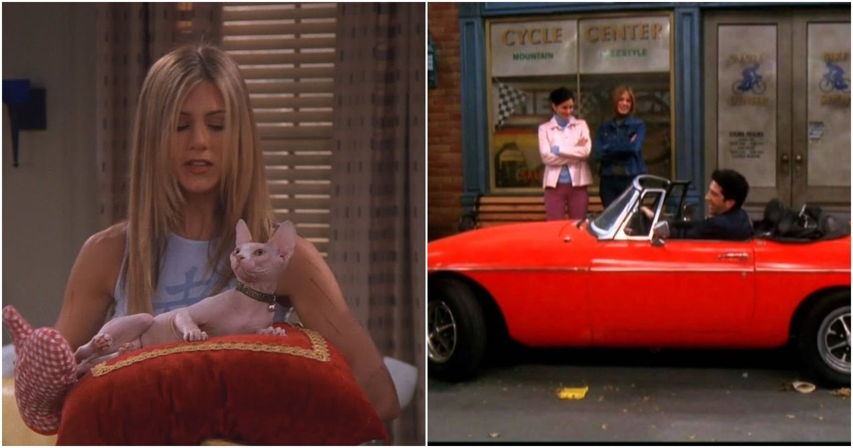 Friends: 10 Ridiculously Expensive Things The Characters Bought