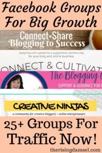 25+ Facebook Groups That Will Explode Your Blog Traffic – The Rising Damsel