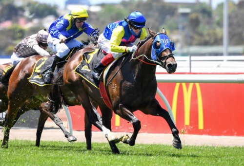 Randwick Super Saturday 2022: Group 1 previews and tips