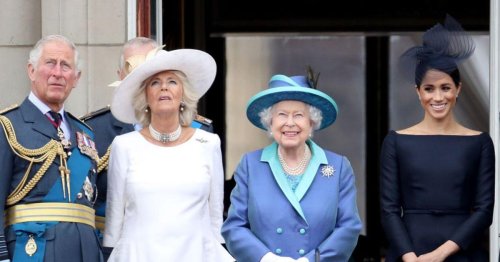 Author Claims Meghan Markle Made Brutal Comments About The Royal Family: 'Behaved Like Babies...'