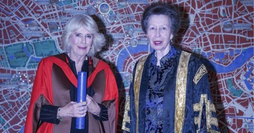 Protocol Wars: Princess Anne's 'Hilarious' Reaction to Queen Camilla's Unusual Etiquette Request