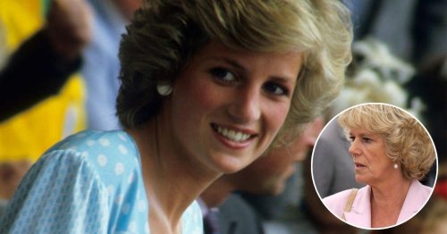 Royal Author Claims Diana Used a Clever Trick to Drive Camilla ‘Insane': "Wore One of Her..."