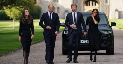 Prince William's 'Last Minute Text' to Prince Harry Prevented Duke and Meghan Markle From Exploiting Queen Elizabeth's Death