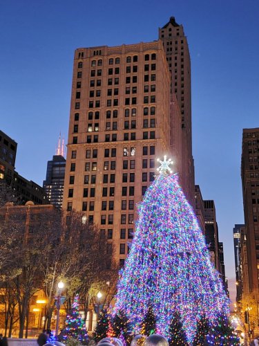 Best Things to Do in Chicago in December
