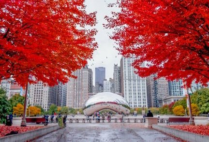 Best Things to Do in Chicago in October