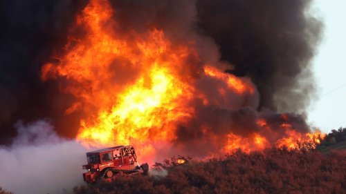 Scientist hyped up impact of global warming on wildfires to get study published