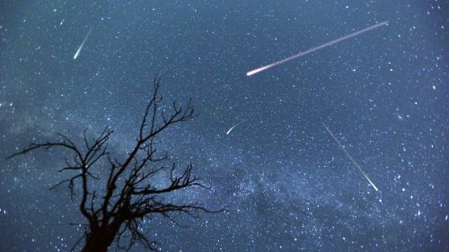 Watch as Perseid Meteor Shower lights up the night sky in incredible display