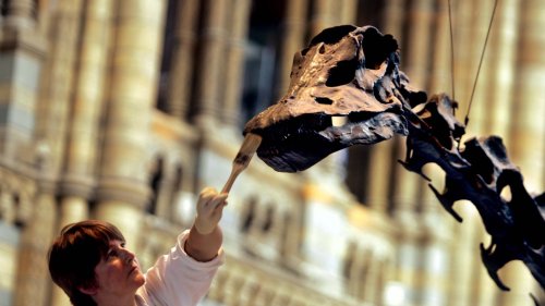 Get to know more about the nation's favourite dinosaur, Dippy