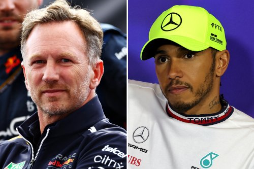 Christian Horner condemns Nelson Piquet’s vile racist abuse of Lewis Hamilton