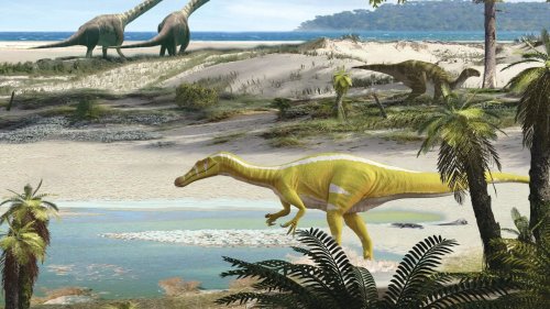 New species of meat-eating dinosaur as big as school bus unearthed in Spain