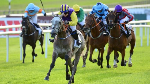 Princess Zoe - the stunning grey at centre of huge owner-trainer row - aimed at August return