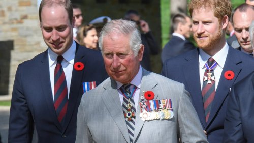 'Harry needs to apologise… what he's done to Charles & William is unacceptable'