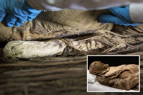 Mystery over 350-year-old bishop buried with foetus between legs finally solved