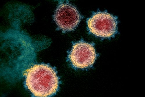 New variant ‘could already by in the UK’ amid fears it weakens vaccines by 40%