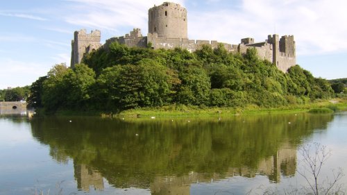 Bones of woolly mammoth from 10,000 years ago found under Pembroke Castle