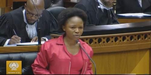 'Naledi Chirwa’s apology is horrific': South Africans slam the EFF
