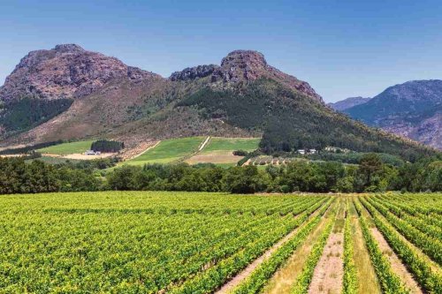 Five Western Cape spots that feel like you’re in Tuscany, Italy