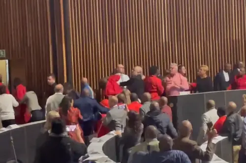 WATCH | EFF’s hats used as WEAPONS in JHB Council [VIDEO]