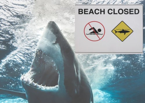 ALL beaches closed in Plettenberg Bay after fatal shark attack