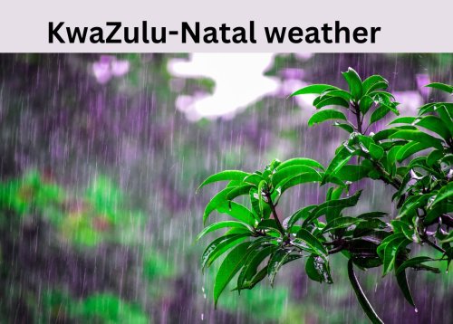 WEATHER: Isolated showers and rain to hit these provinces including KwaZulu-Natal