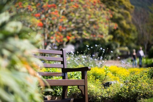 The New York Times says this Cape Town garden is a 'must-see'