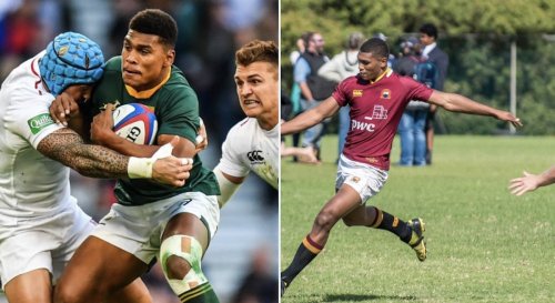 Rugby: Which schools have produced the most Springboks?