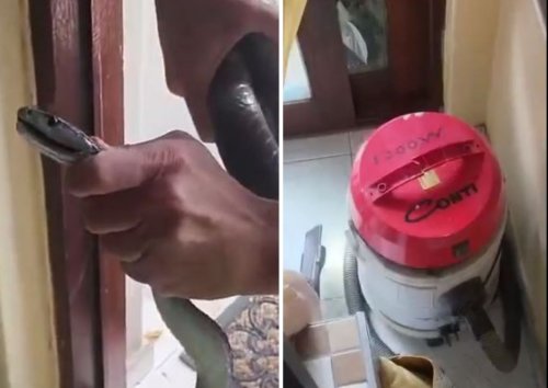 WATCH A 2.2 metre-long Black Mamba caught in KZN home Flipbo