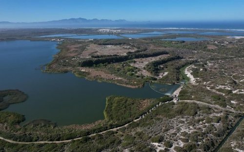 Cape Town’s Zeekoevlei to be dredged over two-year period