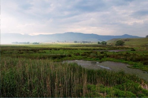 Five small towns in SA to visit when you need to escape the city