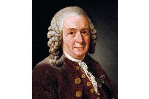 What we owe to Carl Linnaeus’s genius