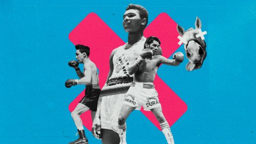From Knocking Out A Horse To Missing Gold Medals: Five Of Boxing's Biggest Myths