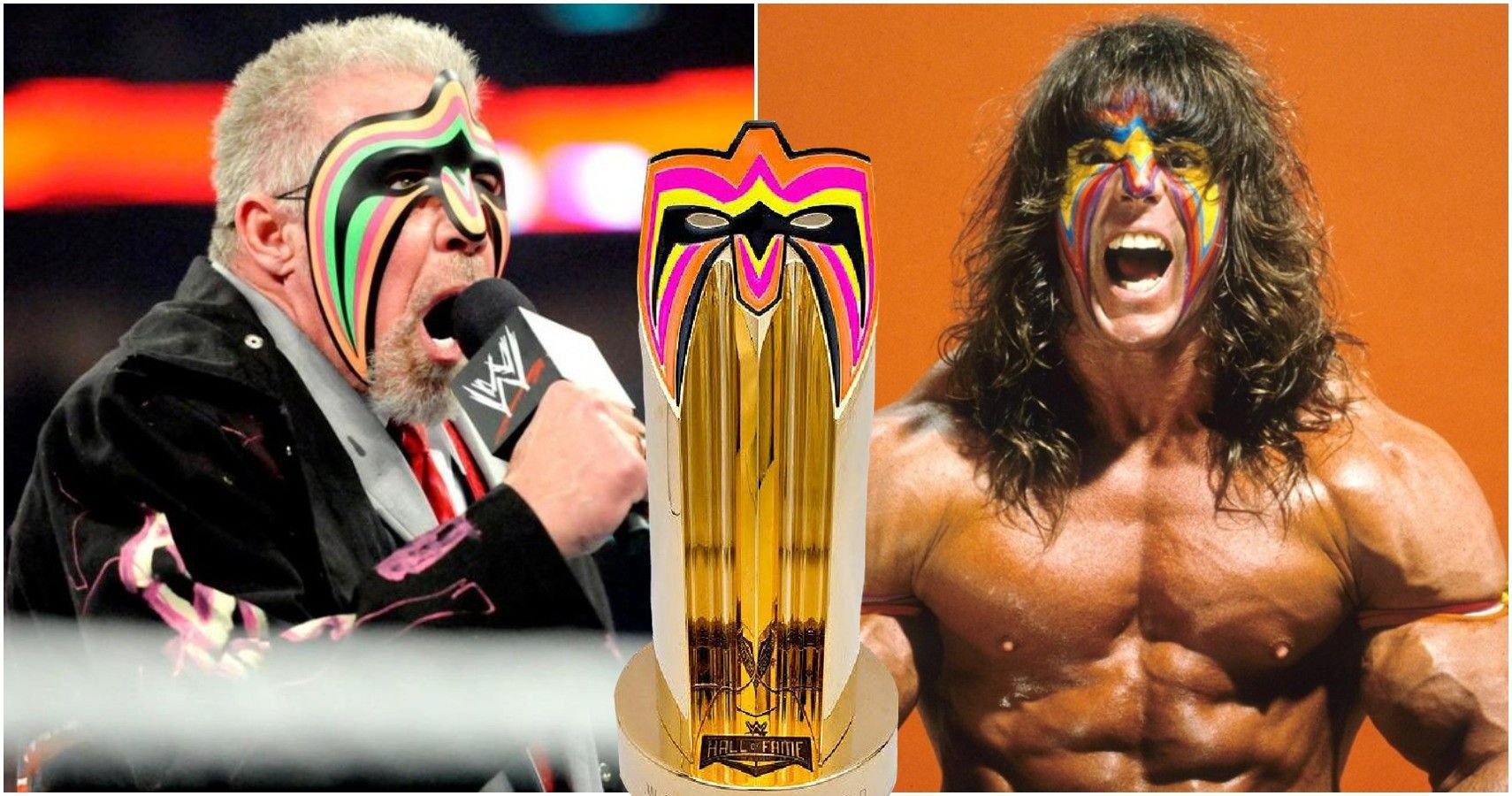 Ultimate Whitewashing: Fans Should Not Accept WWE's Ultimate Warrior Narrative