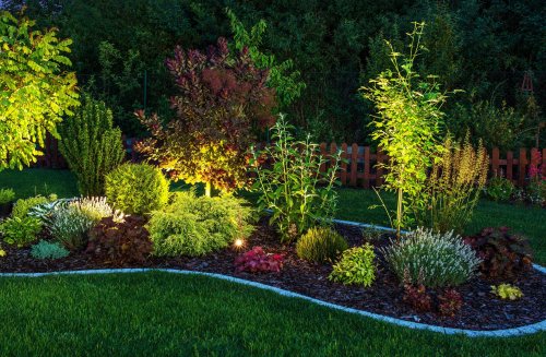 20 Garden Lighting Ideas to Make Your Plants Shine