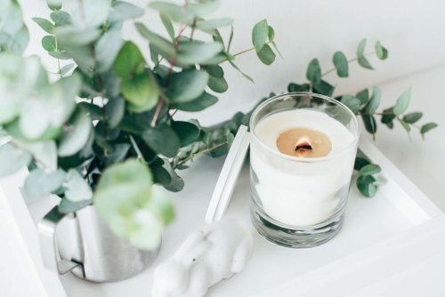This Simple Trick Works Like a Charm to Fix Candle Tunneling, According to Pros