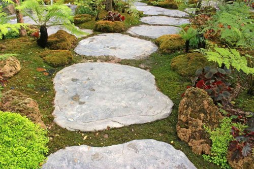 Moss Gardens Are the Serene Space Your Yard Needs—How to Grow One Like a Pro