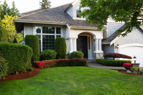 7 Common Landscaping Mistakes Gardening Pros Want You to Avoid This Spring