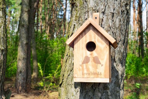How to Hang a Birdhouse and Mount a Nesting Box