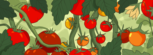 Your Go-To Guide to Growing Tomatoes