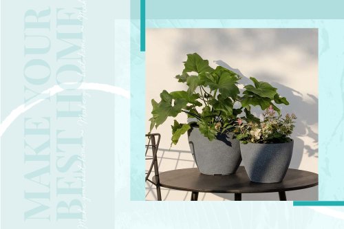 12 Affordable Outdoor Planters Brimming With Summer Style