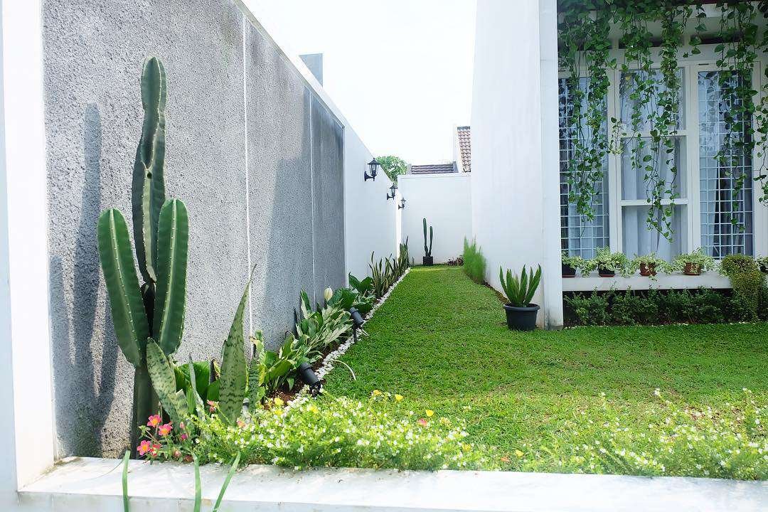 25 Side Yard Ideas to Make the Most of Unused Space