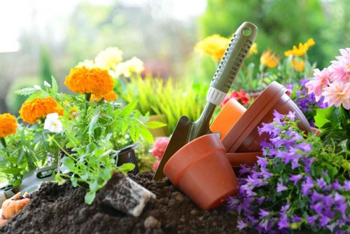 Topsoil vs. Garden Soil: What the Difference?