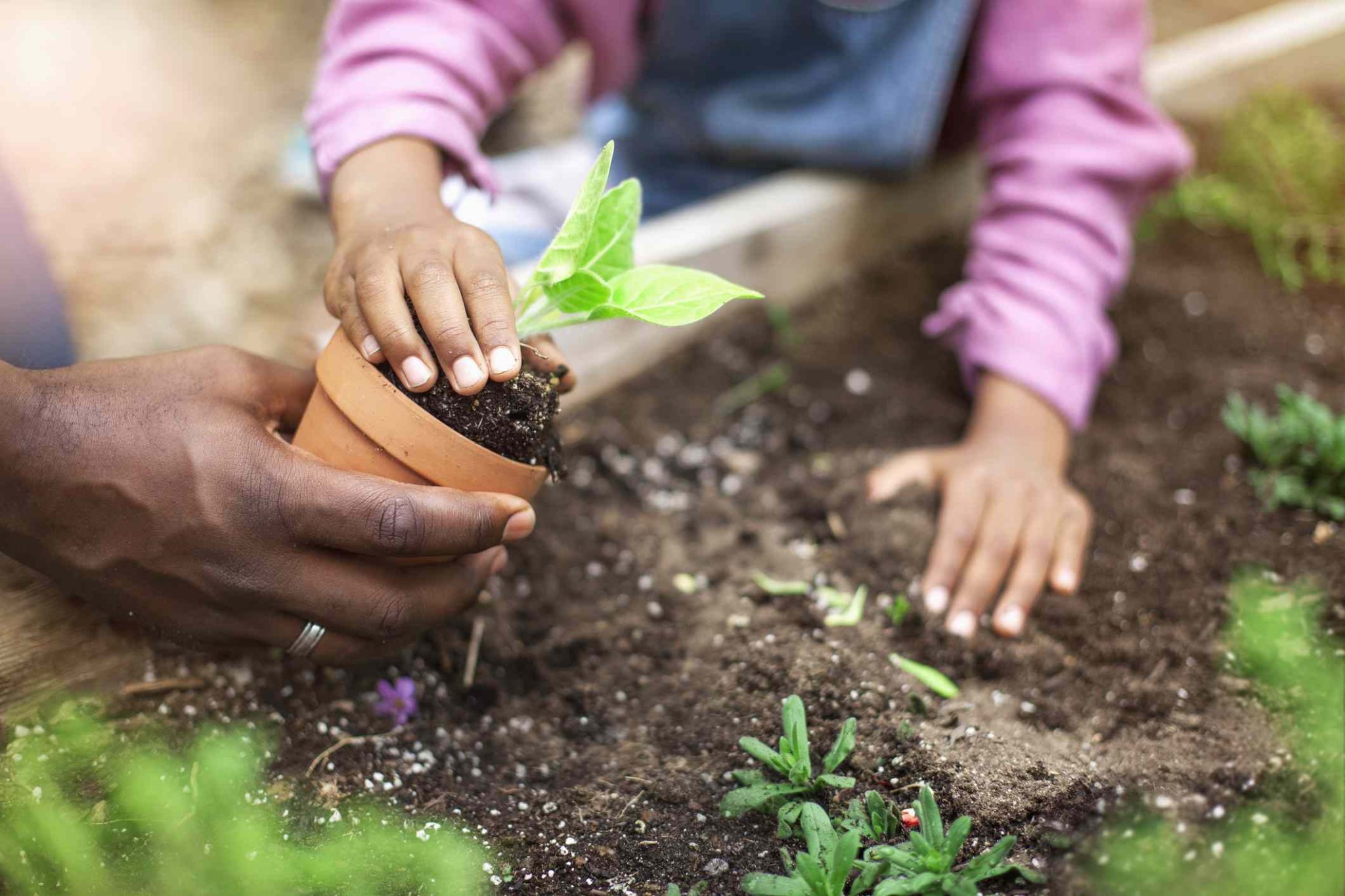 Prep for a smooth transition into warm weather. - cover